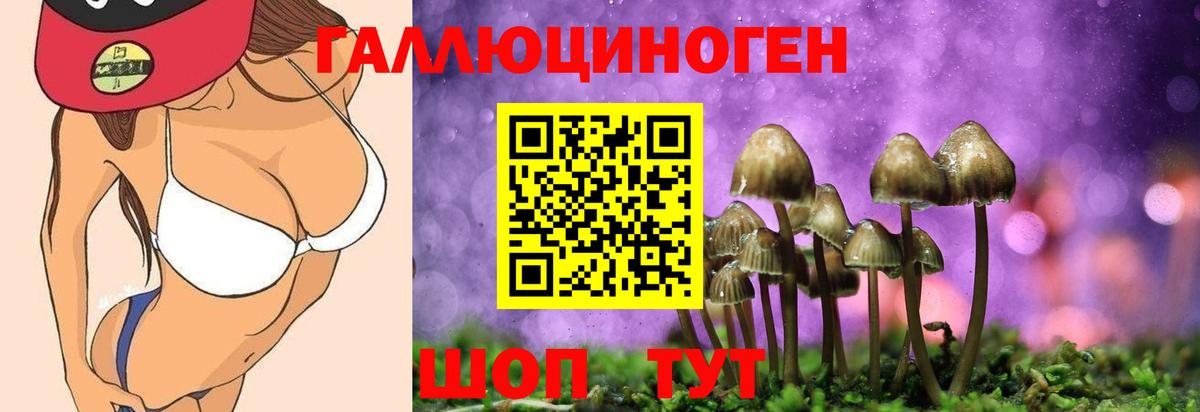 купить наркоту  Вход с VPN  Сунжа  Галлюциногенные грибы Cubensis 
